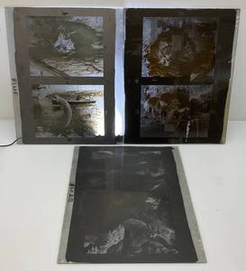 lot 145 image: 3 14 x 17 Vintage 1960s Glass Negative With (Ralph Crosby Smith) Wildlife Art