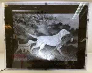 lot 148 image: 1964 Glass Negative Helping Out Dog With Pheasant 16 x 20
