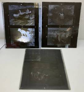 lot 149 image: 3 14 x 17 Vintage 1960s Glass Negative With (Ralph Crosby Smith) Wildlife Art