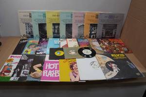 lot 252 image: Assorted Vinyl Records - Elvis, Hot Flashes, Bob Seger, The Partraige Family