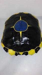 lot 12 image: Painted Tortoise Shell