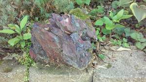 lot 152B image: Cabin Tear-down Large Landscaping Rocks (9).