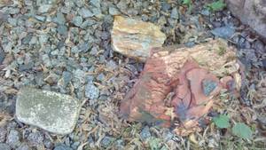 lot 152C image: Cabin Tear-down Large Landscaping Rocks (4).