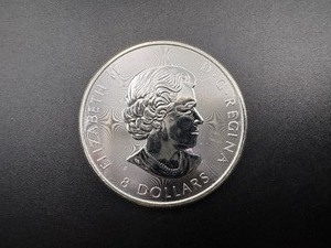 lot 85 image: 2018 Silver Canadian $8.00 Buffalo Coin  (1.25 Oz. .9999 Silver)