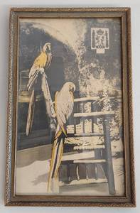 lot 40U image: Antique Framed Parrot Art Photo Print with Ornate Border