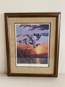 lot 47C image: Limited Edition Framed Print Mallards at Sunset by Rhynerd Klingbeil