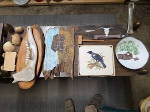 lot 13 image: Unique Art Pieces, Vintage JASON Placemats Medium Cork Back Birds Of New Zealand In Original Box