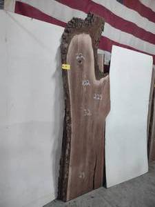 lot 14 image: Black Walnut Slab