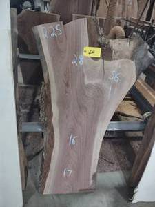 lot 20 image: Black Walnut Slab