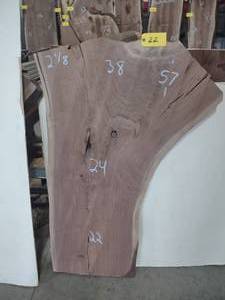 lot 22 image: Black Walnut Slab