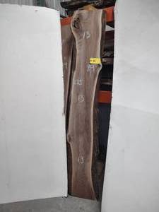 lot 51 image: Black Walnut Slab