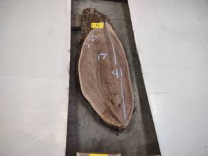 lot 92 image: Black Walnut Slab