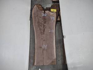 lot 98 image: Black Walnut Slab