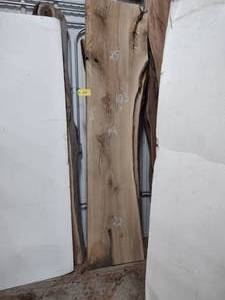 lot 134 image: Pin Oak Slab