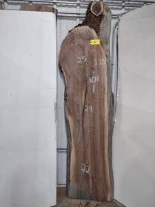lot 141 image: Black Walnut Slab