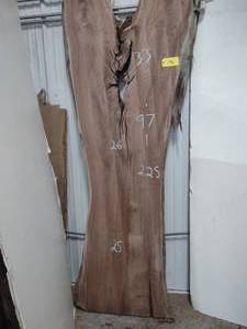 lot 142 image: Black Walnut Slab