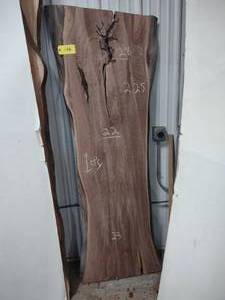 lot 146 image: Black Walnut Slab
