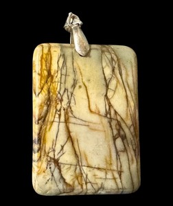 lot 49M image: Unique Red Creek Jasper Pendant