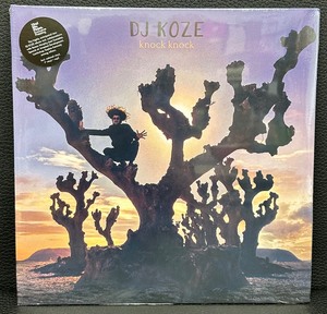 lot 115V image: DJ Koze - Knock Knock Album - New & Sealed - From Vinyl Me, Please