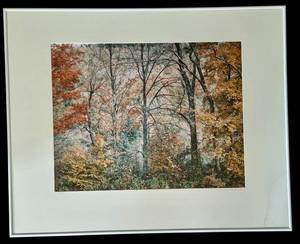 lot 27X image: Autumn Forest Scene Art Print by Usery & Heims