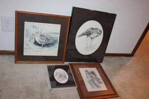 lot 5 image: Collection of 4 Framed Bird Art Prints