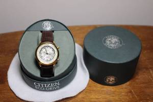 lot A-141 image: Citizen Eco-Drive World Time Watch with Brown Leather Strap