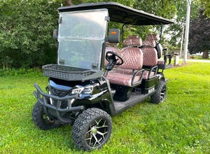 lot 21 image: 2025 SDLGC100 6-Person Electric Golf Cart 