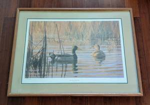 lot 121 image: Morning Mallards Framed Gary Moss Print