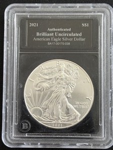lot 23 image: 2021 Silver Eagle