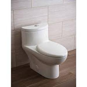 lot 44 image: American Standard Tofino Complete 1-Piece 1.1 GPF Dual Flush Elongated Toilet in White with Slow Close Seat  Customer Returns See Pictures