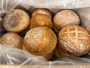 lot 101 image: 12-14ct- 22oz  Italian Round Loaves