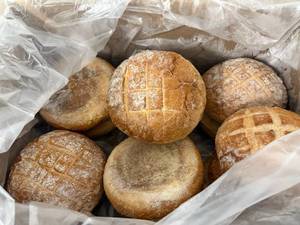 lot 105 image: 12-14ct- 22oz  Italian Round Loaves