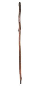 lot 109 image: Exceptional 1879-1880 University of Michigan Law School Carved Walking Stick Signed by Entire Class