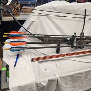 lot 14 image: Compound Bow with Broadheads and Practice Arrows