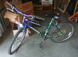 lot 80 image: 15 speed bicycle
