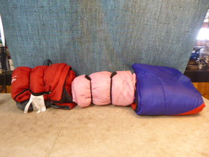 lot 119 image: 3 Childrens Sleeping Bags