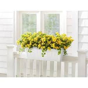 lot 54 image: Vigoro 28 in. Eden Medium White Resin Window Box Rail Planter (28 in. L x 12 in. W x 12 in. H) Customer Returns See Pictures