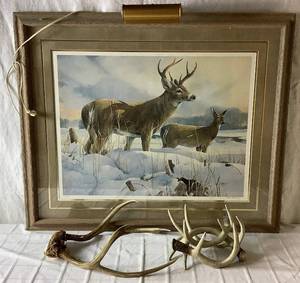 lot 342 image: Broken Fench- Whitetail Deer by Mario Fernandez with Antlers