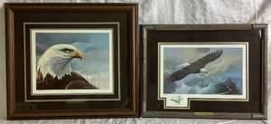 lot 28 image: Mario Fernandez Bald Eagle Bundle - Both Framed, Signed and Numbered