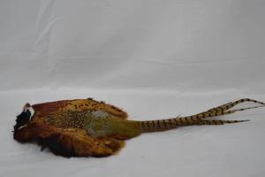 lot 194 image: Pheasant Wall Hanging