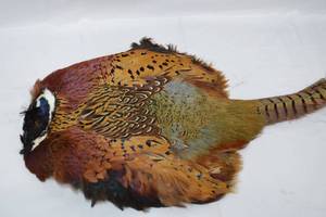 lot 194 image: Pheasant Wall Hanging