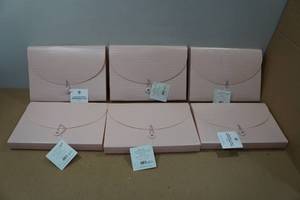 lot 91 image: 6 13 Pocket Poly Expandable Files