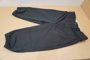 lot 32 image: Champro Adult Softball Pants - Small