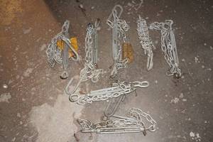 lot 150 image: Assorted Chain Tie-Downs
