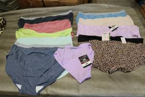 lot 48 image: 10 pairs of womens underwear sizes...