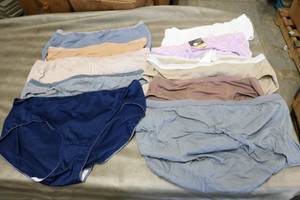 lot 49 image: 10 pairs of womens underwear sizes...