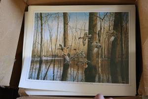 lot 156 image: Box of Bird Prints Mirrored Landin...