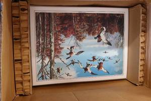 lot 160 image: Box of Laminated Sunlit Descent p...