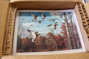 lot 91 image: Box of laminated prints Sunlight D...