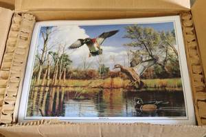 lot 92 image: Box of laminated prints Settling I...